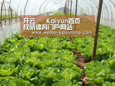 种植基地五
