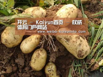 种植基地六