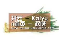 产品名称二