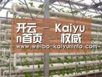 环境展示六